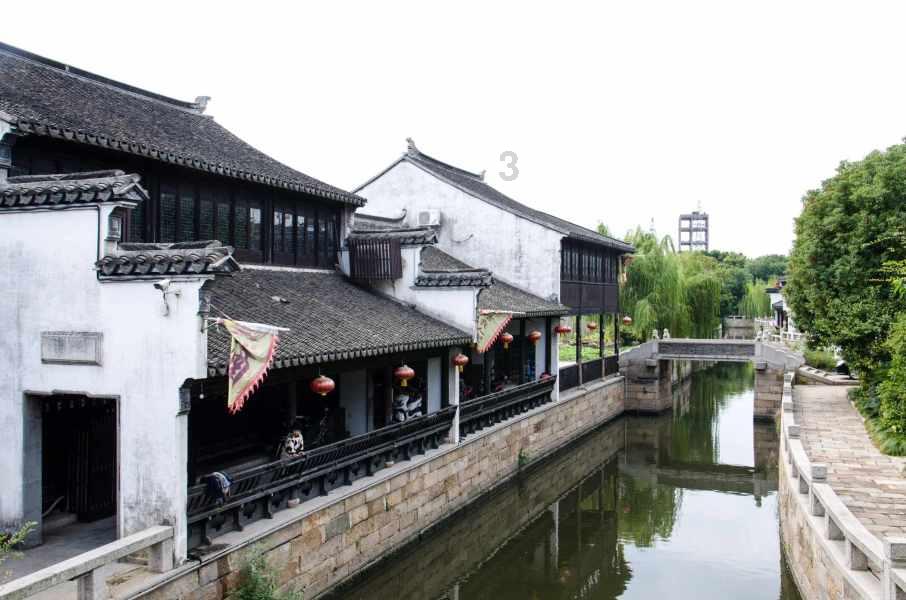 请问下猫咪应该怎么办游戏画面